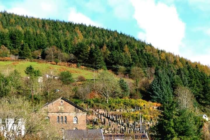 Selah Cottage, 21 Queen Street Pontrhydyfen Номер фото