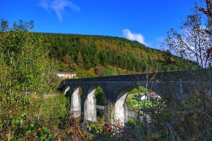 Selah Cottage, 21 Queen Street Pontrhydyfen Номер фото