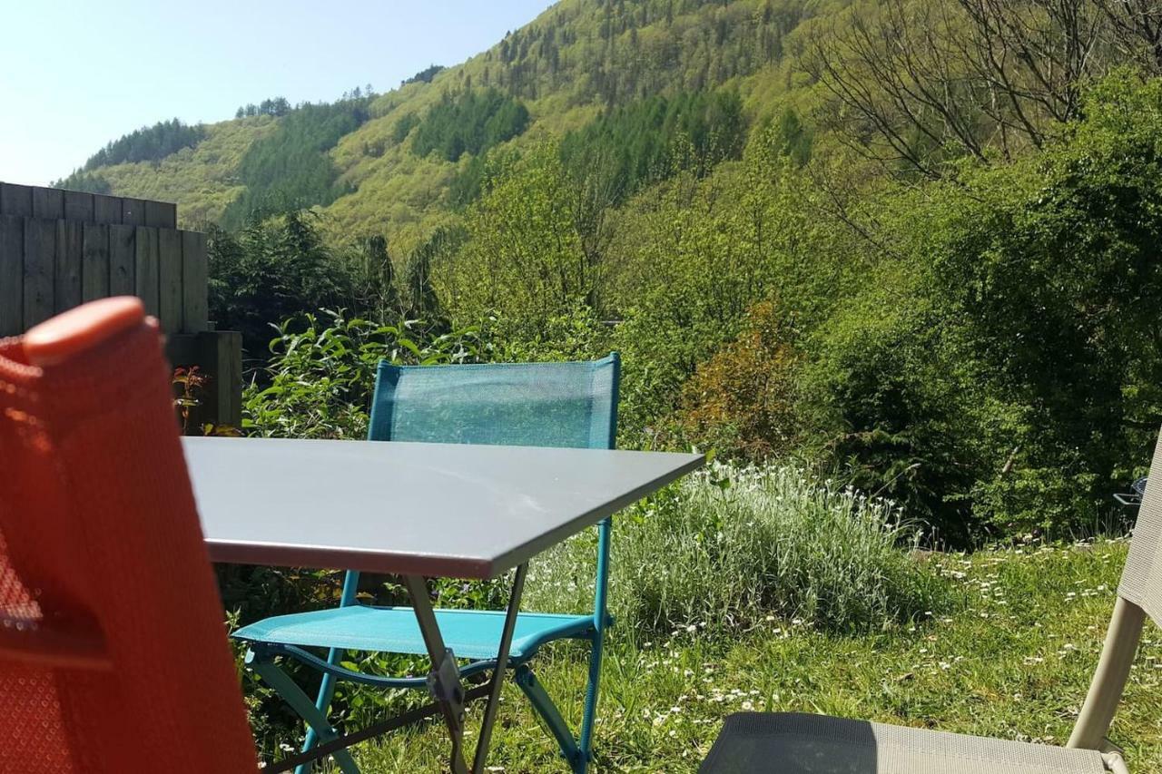 Selah Cottage, 21 Queen Street Pontrhydyfen Экстерьер фото