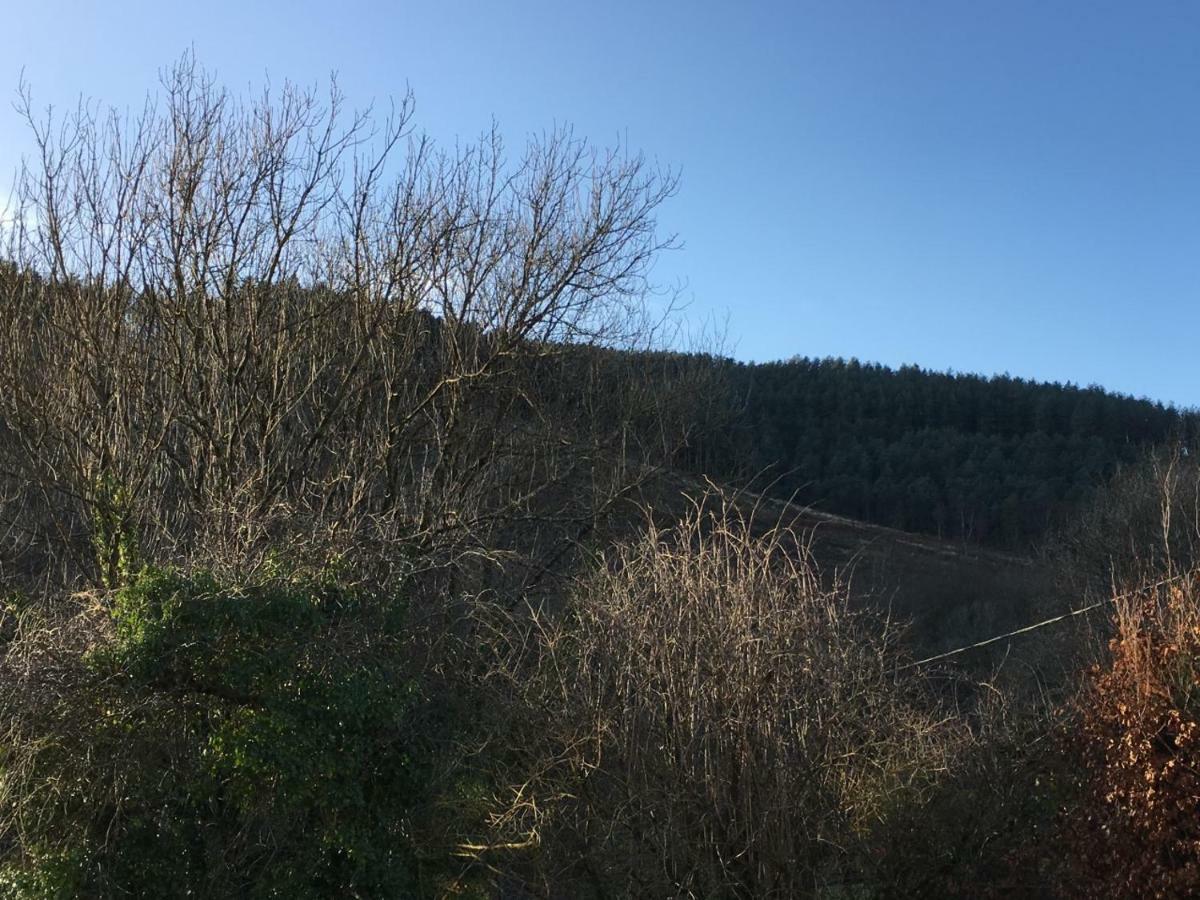 Selah Cottage, 21 Queen Street Pontrhydyfen Экстерьер фото
