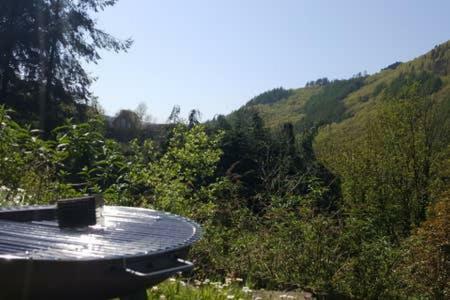 Selah Cottage, 21 Queen Street Pontrhydyfen Экстерьер фото